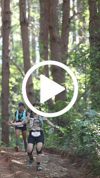 BIB:  <button type="button" onclick="openModal(26569634)" class="btn btn-primary btn-sm float-right" data-toggle="modal" data-target=".modal-high-quality">
                <i class="fa fa-download"></i> Download
                </button>